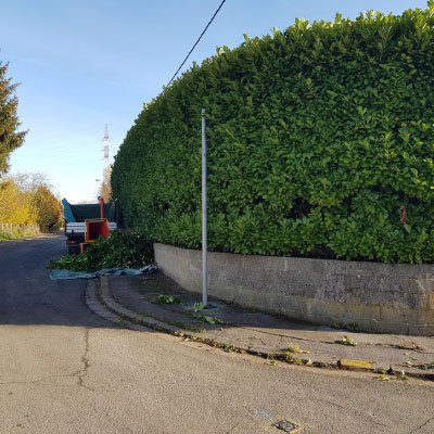 Photo entretien de jardin n°6